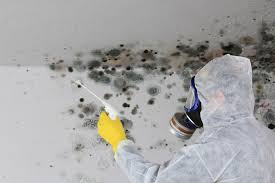 Best Mold Prevention Services  in Midway South, TX